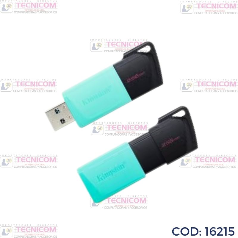 MEMORIA USB KINGSTON DT EXODIA 256GB USB3.2